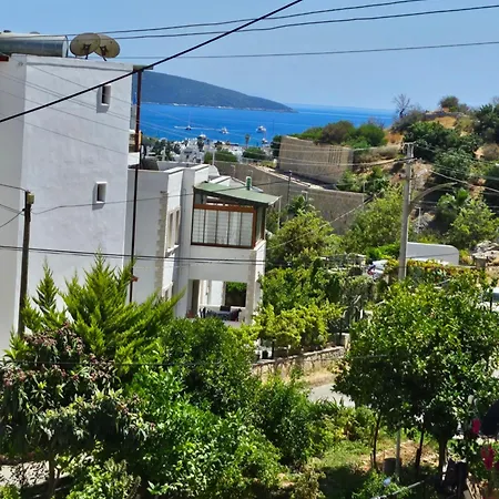 Spring's House * Bodrum